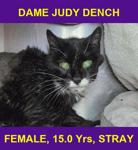 DAME JUDY DENCH